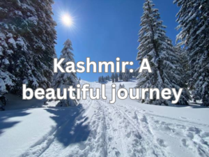 Kashmir: A beautiful journey:कश्मीर: 1 स्वर्गीय यात्रा