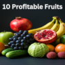 10 profitable Fruits: सर्दियों में खाने वाले फल