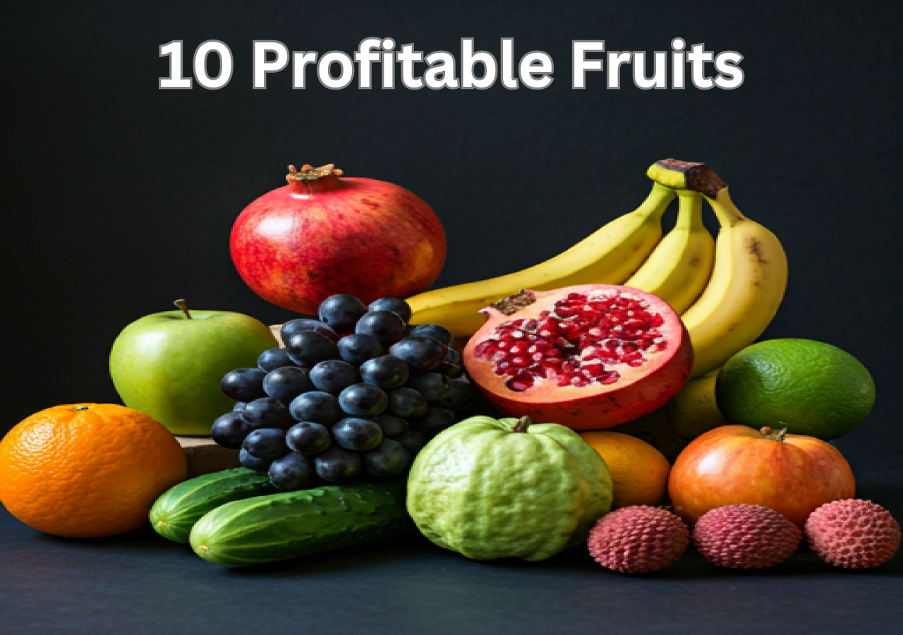 10 Profitable Fruits