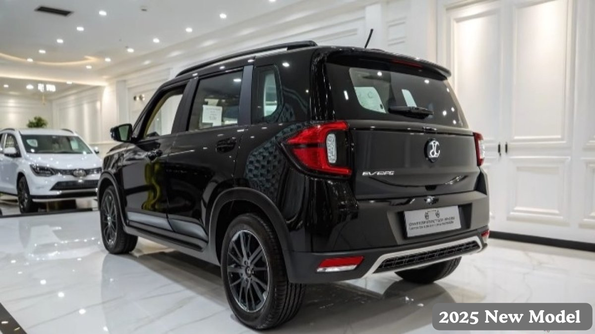 2025 New Model (1)